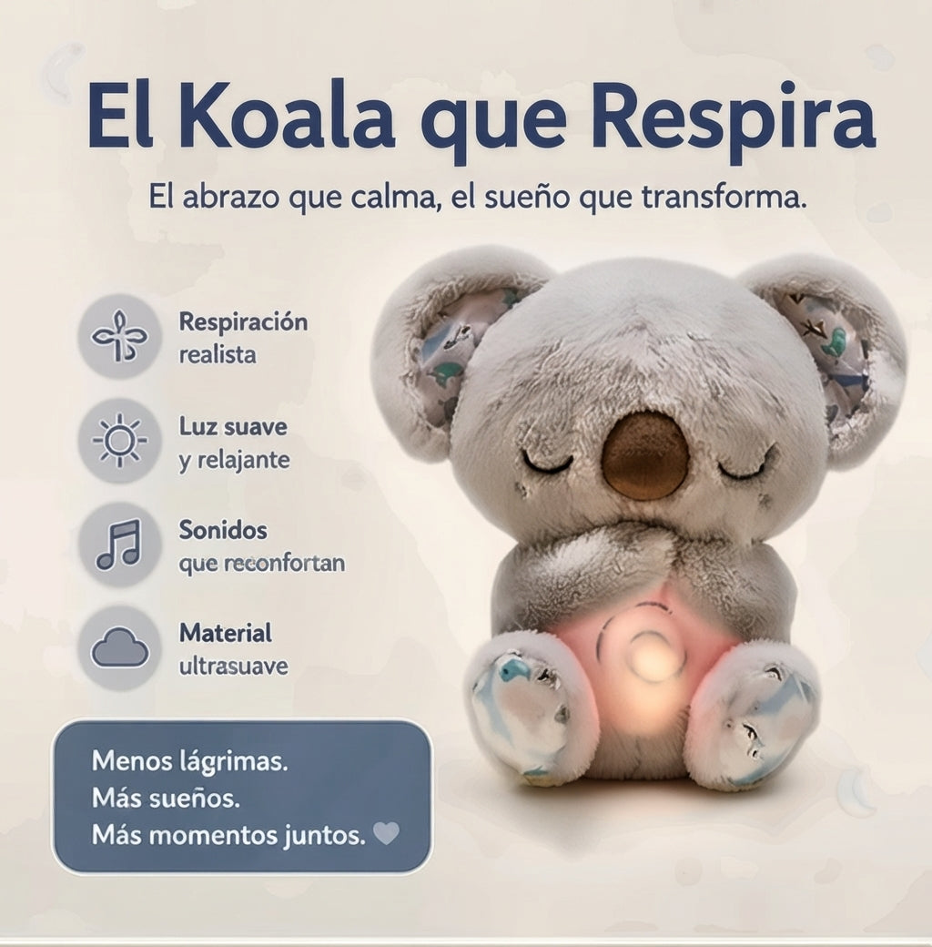 Koala Dulces Sueños