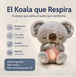 Koala Dulces Sueños