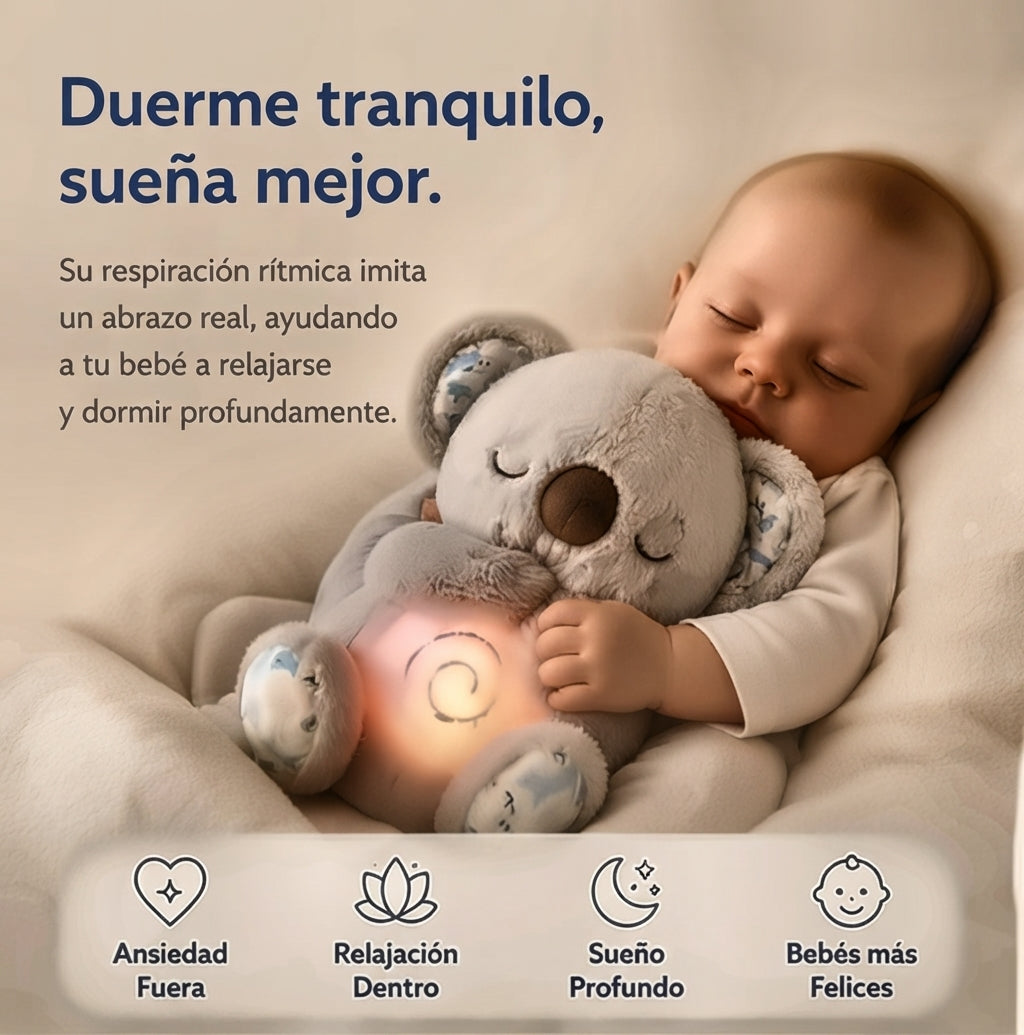 Koala Dulces Sueños