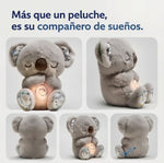 Koala Dulces Sueños